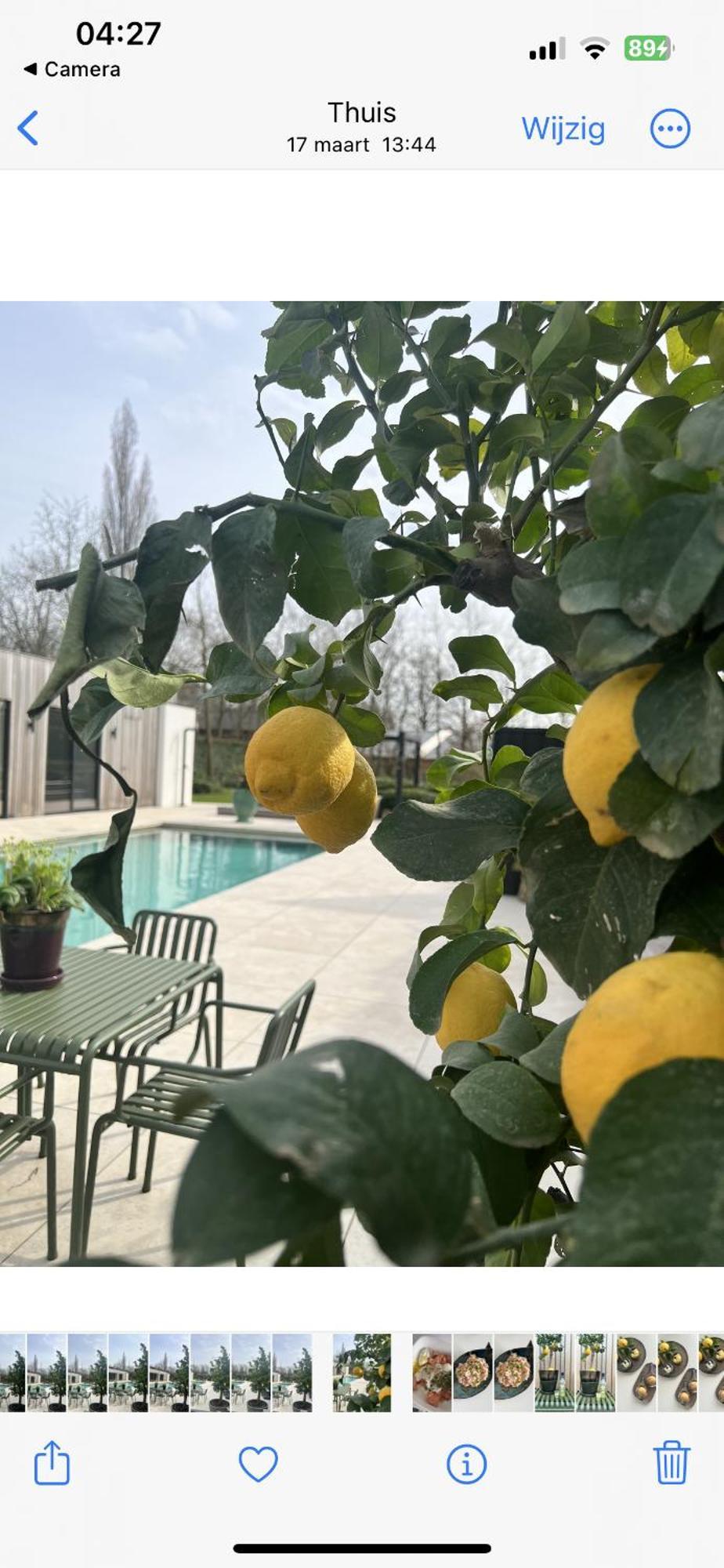 De Lichtboei Bed & Breakfast Kootwijkerbroek Dış mekan fotoğraf